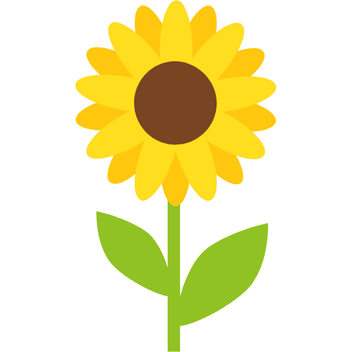 Ayçiçeği