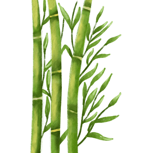 Bambu