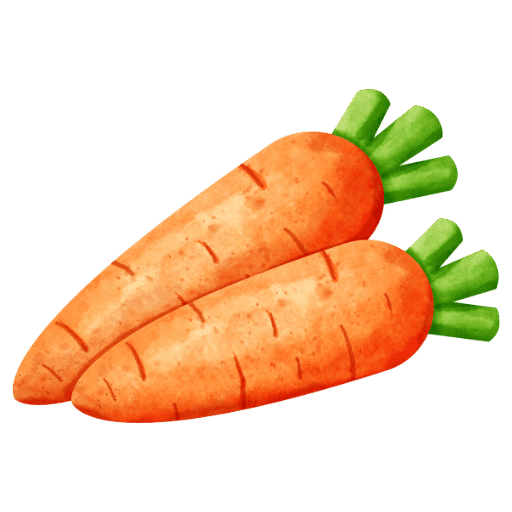 Havuç