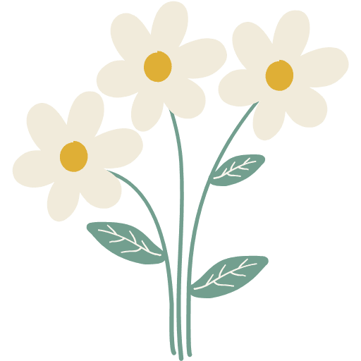 Papatya